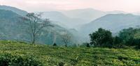 Sandeep Homestay - Chambres d’hôtes Darjeeling