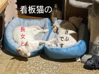 Guest House Salt Beach - Chambres d’hôtes Yokkaichi