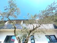 Rooms and Apartments Lisjak - B&B