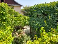 Pensiunea Lyo - Bed and Breakfast