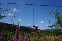 Natura Chalets - B&B Praid