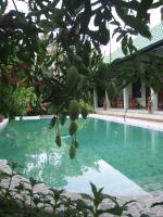 B&B Jogjakarta - Rumah Sawah - Bed and Breakfast Jogjakarta