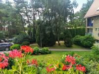 Marių studija - B&B