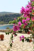 B&B Mycenae - Rocka View - Bed and Breakfast Mycenae