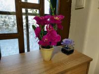 Lovely, neat and quite apartment Dalia, private parking - Ferienwohnung