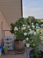 NAITARG Home, Aclens, One family at a time - B&B