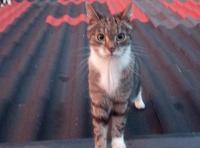 Ferienwohnung Eddi - B&B Reichenbach/Vogtland