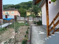 Smeštaj Zeka Tekija - B&B