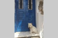 B&B Galíni - Blue & White: An Absolute Aegean dream house - Bed and Breakfast Galíni