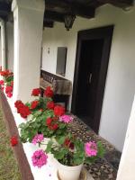 Appartamento con Terrazza