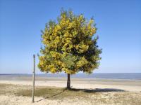 Casa con 2 Camere da Letto