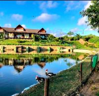 Gravata Apartamento Winterville - B&B Gravatá