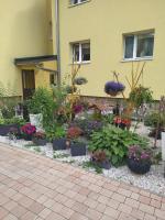 Mieszkanie / Apartament centrum blisko szlaków i wyciągów !!! - Bed and Breakfast Szklarska Poręba