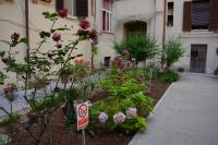 Rome Lucia Apartment - B&B
