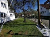 Ferienwohnung NEST - B&B Wangen