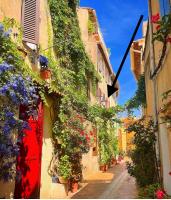 Appartement le Quai du Port Cassis parking clim - Ferienwohnung Cassis