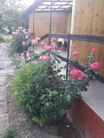 Borgáta Retro Apartman - B&B