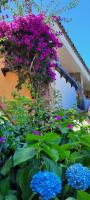Smeralda Wave - Sea View Apartment - Ferienwohnung