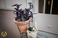 VenuSuite VENOSA - Luxury House, Spa & Relax - - B&B Venosa