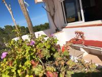 ED REXII ático - B&B Es Pujols