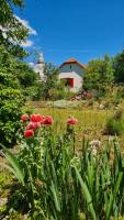 Rózsa Apartman Aggtelek - B&B Aggtelek