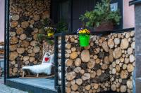 Arlsuites - Ferienwohnung St. Anton am Arlberg