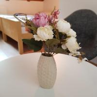 Studio apartman Ivana - B&B