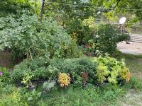 nikani - Bed and Breakfast Bordzjomi