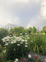 Ferienwohnung Sonnentau 1 - Bed and Breakfast Holzminden