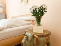 Apartmá Marie 1880 - B&B Karlovy Vary