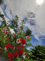 Pousada Tartaruga Cumbuco - Bed and Breakfast Cumbuco