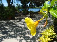 Casa Alegria, Piscina, 10 Hóspedes, 3 Suítes e Churrasqueira - B&B Itacaré
