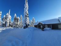 Hietavilla Aurora - Hot tube - Sauna - AC - Fireplace - 11kW EV-refuel - Landscape view - Silence - Free WiFi - Chambres d'hôtes Ruka