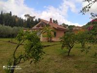 Villa Etna Pippo - B&B Piedimonte Etneo