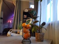 Dream SPA - B&B Vangaži