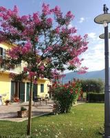 Il Podere di Francesco - Bed and Breakfast