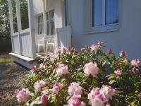Residenz Seeblick mit Sauna und Fitness im Haus - Chambres d’hôtes Sellin