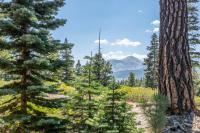 Mountainback 15 - B&B Old Mammoth