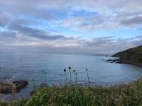 Cosy double room in a seaside cottage - B&B Crafthole
