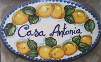 B&B Anacapri - Casa Antonia - Bed and Breakfast Anacapri