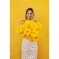 CASA AMARELA - B&B Avis