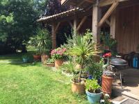 Maison de Lege - B&B Lège-Cap-Ferret