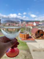 Casa Daya - B&B Topliţa