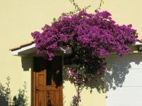 Appartement (5 Adultes)