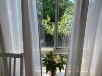 Maple's Place - אירוח מייפל - B&B Rosh Pina