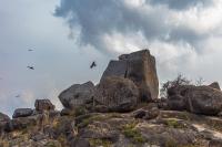 Queen Room with Garden View