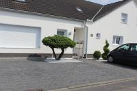 Zimmer David - B&B