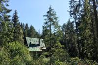 Enchanted Forest Chalet - B&B