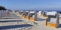 Apartament KOALA Kołobrzeg, 50 m do plaży, garaż-po wcześniejszej rezerwacji u właścicieli, WIFI, mile widziane czworonogi - B&B Kołobrzeg