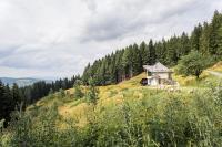 Forsthaus Gray 4 - Ferienwohnung